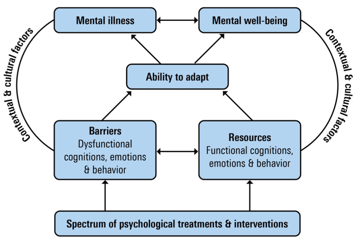 This figure represents a model of sustainable mental health