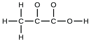 A Lewis structure is shown. A carbon atom is single bonded to three hydrogen atoms and another carbon atom. The second carbon atom is single bonded to an oxygen atom and a third carbon atom. This carbon is then single bonded to two oxygen atoms, one of which is single bonded to a hydrogen atom.