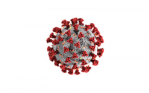 artistic rendering of a covid virus cell