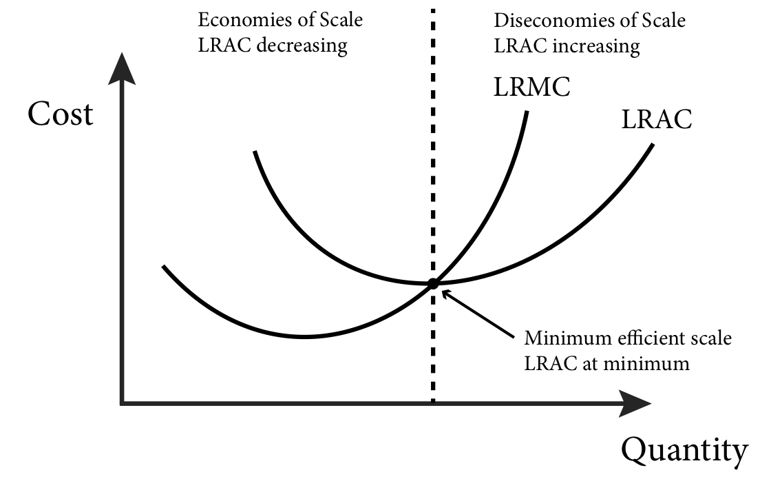 Graph showing Economies, Diseconomies and Minimum Efficient Scale