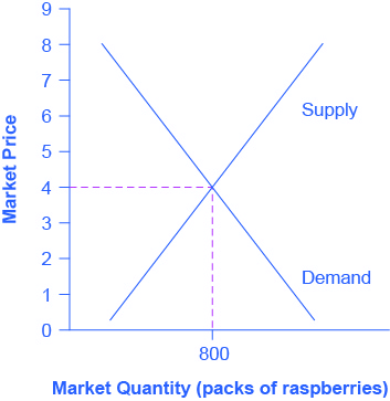 Marginal Revenues and Marginal Costs at the Raspberry Farm: Raspberry Market. The equilibrium price of raspberries is determined through the interaction of market supply and market demand at $4.00.