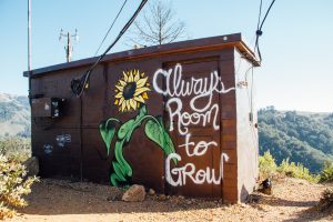 A close wooden shed with a sunflower drawn on it together with a writing which reads as [Always Room to Grow]