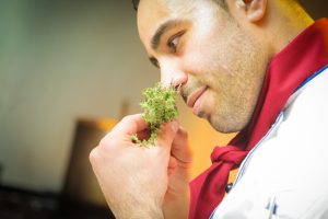 chef smelling fresh herbs