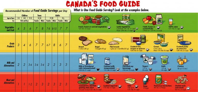 10.1 Nutrition and Weight Control – University Success