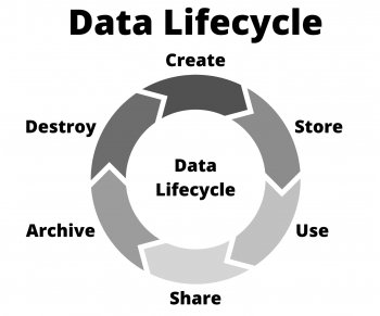 Section 4: The Data Lifecycle – Driving Change in the Health Sector: An ...