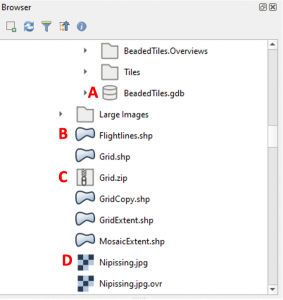 The browser panel containing some sample data. A: a database. B: vector data. C: a zipped folder. D: Raster data.
