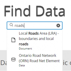 The GeoHub search bar, containing two items related to the search term 'roads'. The first is a document, indicated by the page icon beside it, while the second is a dataset, with an icon which looks like three stacked disks.