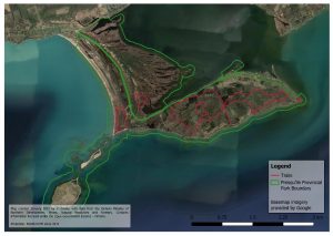 The same satellite imagery and lines as previously, now with text, a legend, and a scalebar added. The legend indicates that the magenta lines are trails and the green lines are the boundary of Presqu'ile Provincial Park. The text reads "Map created January 2022 by Y. Castle, with data from the Ontario Ministry of Northern Development, Mines, Natural Resources and Forestry. Contains information licensed under the Open Government License - Ontario. Projection: NAD83 UTM Zone 18 N".