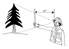 2.6 Instruments Used for Measuring Tree Height – Forest Measurements ...