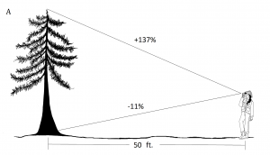 2.8 Summary Questions – Forest Measurements: An Applied Approach