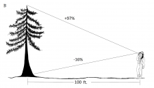 2.8 Summary Questions – Forest Measurements: An Applied Approach