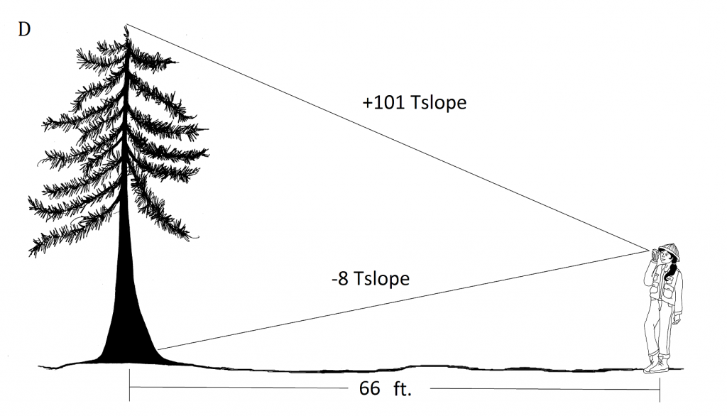 at a horizontal distance of 66 ft, reading to top is +101 Tslope; reading to stump is -8 Tslope