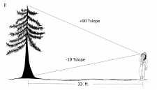 2.8 Summary Questions – Forest Measurements: An Applied Approach