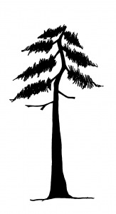 graphic of a tree with a broken top - top looks flat