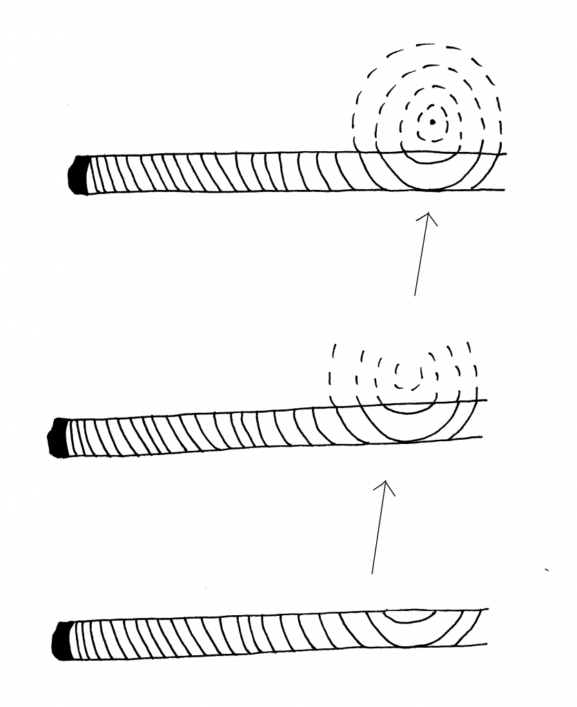 illustration showing a core sample that missed the pith by one year