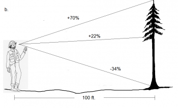 5.7 Summary Questions – Forest Measurements: An Applied Approach