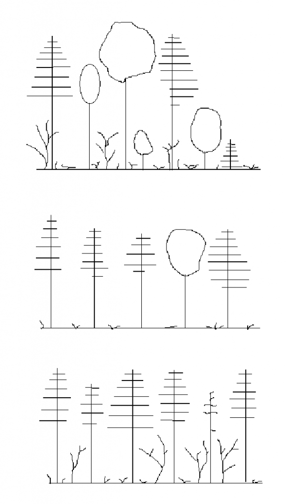 top illustration shows unevenaged stand; middle illustration shows equal crowns of evenaged stand; bottom illustration also shows evenaged stand - of single species