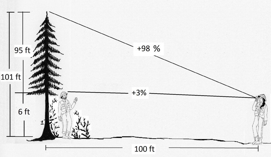 A partner is six feet tall. The base of the tree cannot be seen, so one can sight on the partner as the base, then add his six feet to the total height