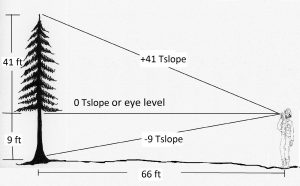 2.4 Using Topographic Slope to Determine Tree Height – Forest ...