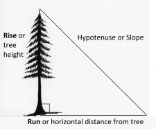 2.2 Determining Tree Height – Forest Measurements: An Applied Approach