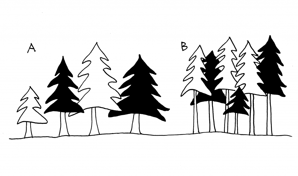 graphic showing group A trees spaced widely with large crowns and large diameters, and group B trees spaced close together with narrow crowns and small diameters. All are approximately the same height.