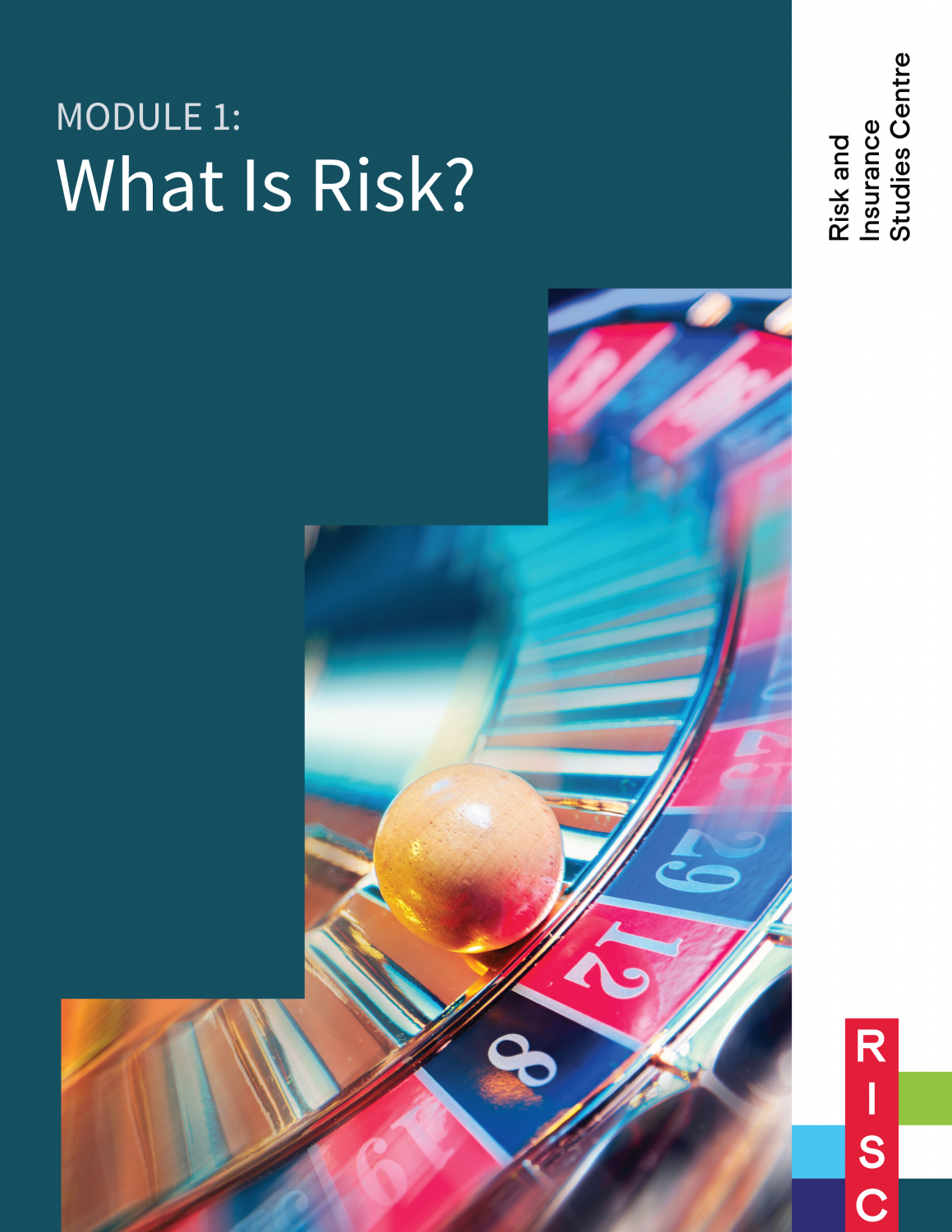 Cover image for Module 1: What Is Risk?