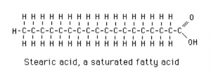 Understanding Fats and Oils – Understanding Ingredients for the ...