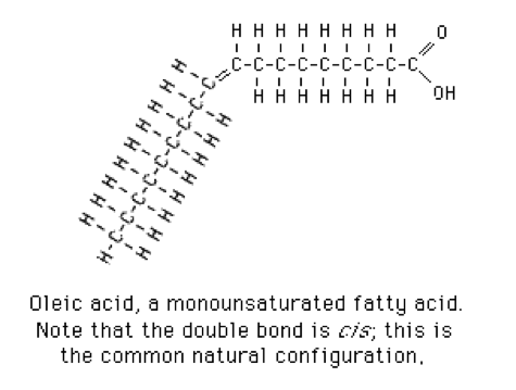 Chemistry of Oleic Acid