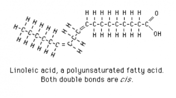 Understanding Fats and Oils – Understanding Ingredients for the ...