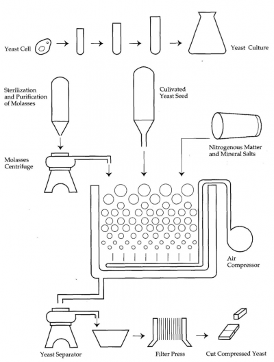Production of compressed yeast