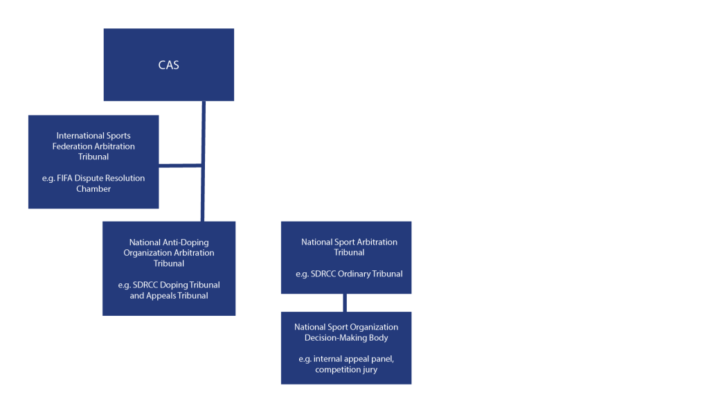 Decision-Making Hierarchy in Sports System