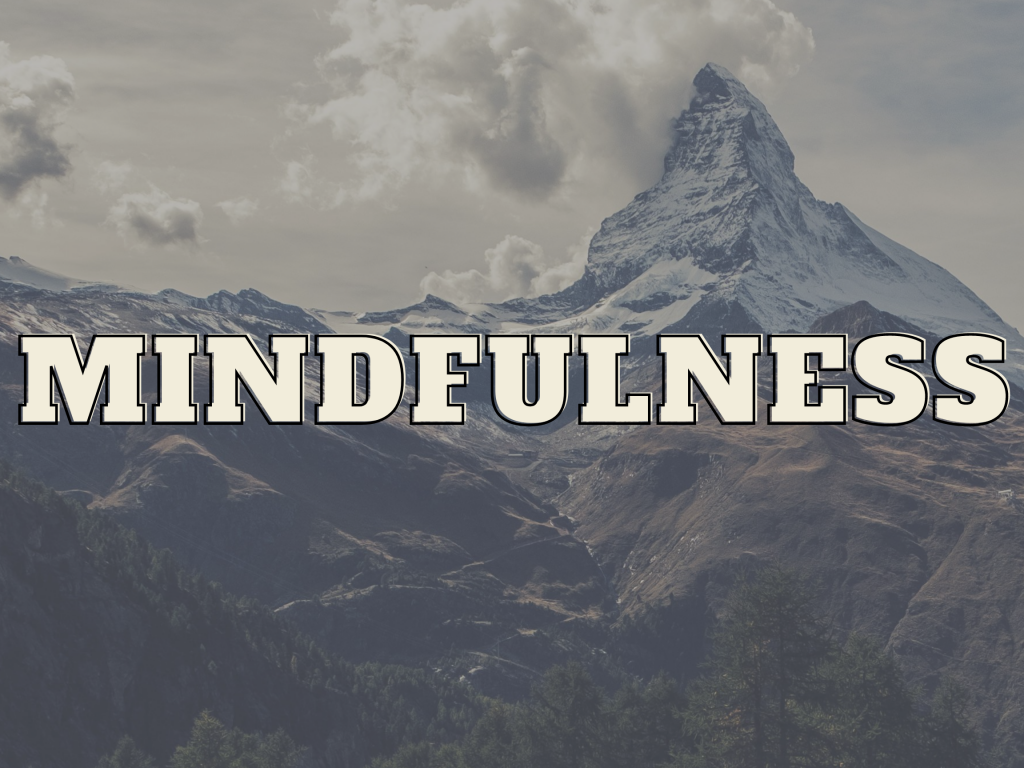 Mindfulness – Post-Secondary 101: The First-Year Transition (eCO 2022)