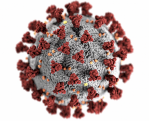 high resolution image of SARS-CoV-2 virus showing proteins protruding from the viral membrane. 