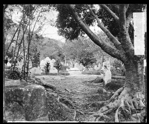 image of an old cemetery with trees and gravestones