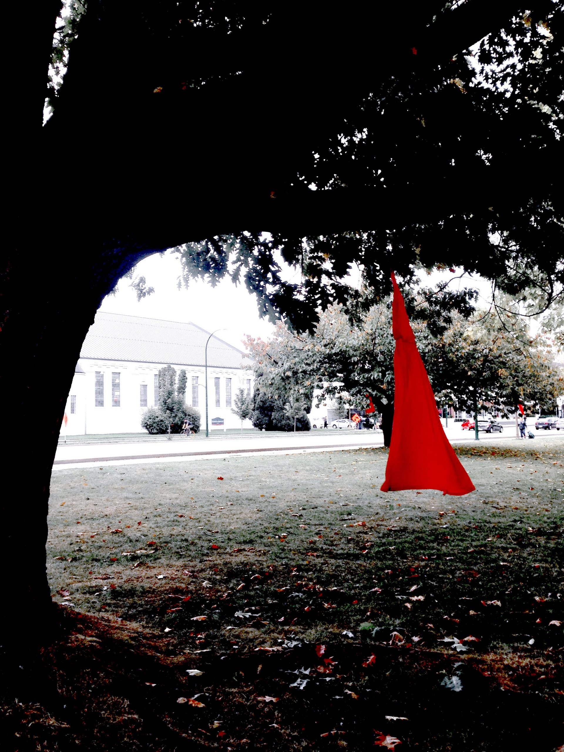 large tree at left with red dress hanging from it.
