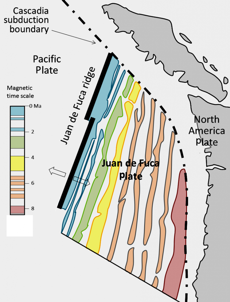 18.2 The Geology of the Oceanic Crust Physical Geology