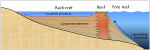 17.3 Landforms of Coastal Deposition – Physical Geology