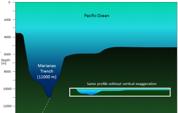 18.1 The Topography of the Sea Floor – Physical Geology