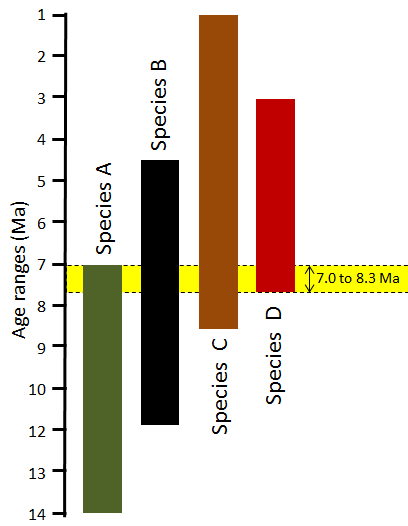 Figure 8.11 The application of bracketing to constrain the age of a rock based on several fossils. In this diagram, the coloured bar represents the time range during which each of the four species (A – D) existed on Earth. Although each species lived for several million years, we can narrow down the likely age of the rock to just 0.7 Ma during which all four species co-existed. [SE]