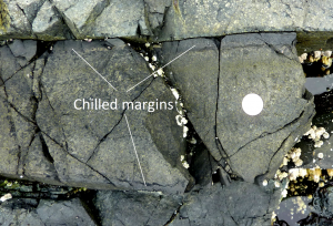 Figure 3.22 A mafic dyke with chilled margins within basalt at Nanoose, B.C. The coin is 24 mm in diameter. The dyke is about 25 cm across and the chilled margins are 2 cm wide.