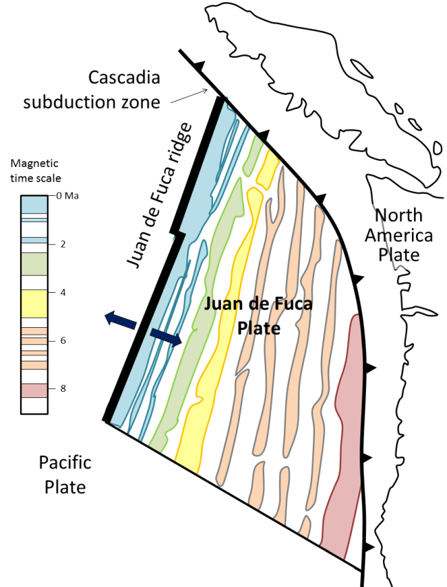 Figure 8.21 The pattern of magnetism within the area of the Juan de Fuca Plate, off the west coast of North America. The coloured shapes represent parts of the sea floor that have normal magnetism, and the magnetic time scale is shown using the same colours. The blue bands represent Brunhes, Jaramillo, and Olduvai, the green represents Gauss, and so on. (Note that, in this diagram, sea-floor magnetism is only shown for the Juan de Fuca Plate, although similar patterns exist on the Pacific Plate.) [SE]