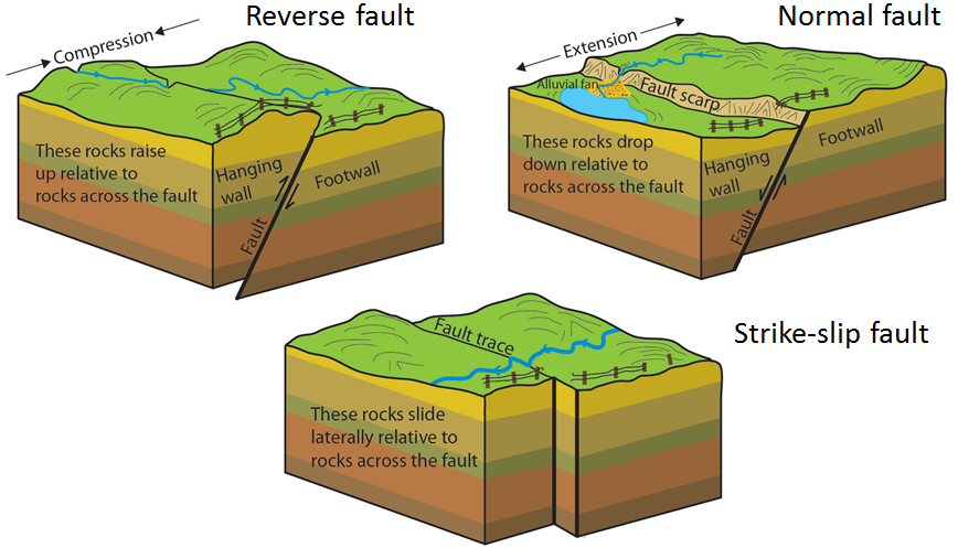 Figure 12.13  Depiction of reverse, normal and strike-slip faults.  Reverse faults happen during compression while normal faults happen during extension.  Most strike-slip faults are related to transform boundaries.  [SE after: http://www.nature.nps.gov/geology/education/images/GRAPHICS/fault_types_2.jpg]