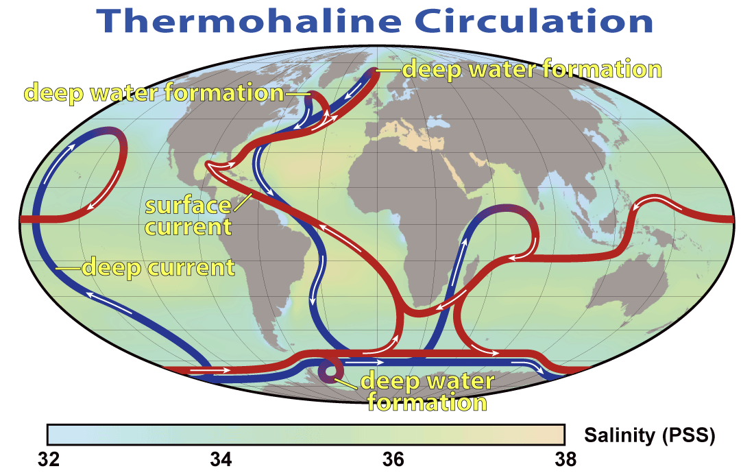 Figure 18.18 The thermohaline circulation system, also known as the Global Ocean Conveyor [from NASA at: https://en.wikipedia.org/wiki/Thermohaline_circulation#/media/File:Thermohaline_Circulation_2.png]