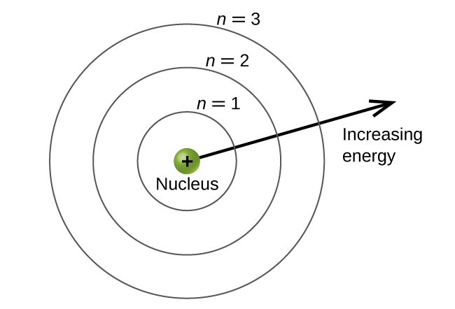 This figure contains a central green sphere labeled “nucleus.” There is a plus sign in the middle of the sphere. This sphere is encircled by 3 concentric, evenly spaced rings. The first and closest to the center is labeled, “n equals 1.” The second ring is labeled, “n equals 2,” and the third ring is labeled, “n equals 3.” An arrow is drawn from the edge of the central sphere to the right extending out of the concentric rings. It is labeled, “increasing energy.”