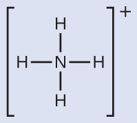 A Lewis structure depicts a nitrogen atom that is single bonded to four hydrogen atoms. The structure is surrounded by brackets and has a superscripted positive sign.