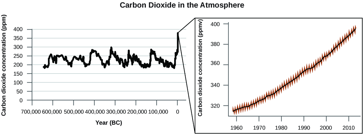 This figure has the heading “Carbon Dioxide in the Atmosphere.” The first graph has a horizontal axis label “Year ( B C )” and a vertical axis label “Carbon dioxide concentration ( p p m ).” The horizontal axis labels begin at 700,000 on the left and increases by multiples of 100,000 up to 0 on the right. The vertical axis begins at 0 and increases by multiples of 50 extending up to 400. A jagged, cyclical pattern is shown that begins before 600,000 B C at under 200 p p m. Up to 0 B C values appear to vary cyclically up to a high of about 300 p p m. Extending beyond 0 B C to the right, the carbon dioxide concentration appears to be on a steady increase, having reached nearly 400 p p m in recent years. The second graph is shown to magnify the portion of the graph that is most recent. This graph begins just before the year 1960 and includes markings for multiples of 10 up to the year 2010. The vertical axis begins just below 320 p p m and includes markings for all multiples of 20 up to 400 p p m. A smooth black line is shown extending through a jagged red data pattern. The trend is a steady, nearly linear increase from the lower left to the upper right on the graph.