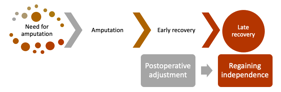 the phases of recovery going from need for amputation, to amputation, to early recovery, and to late recovery.