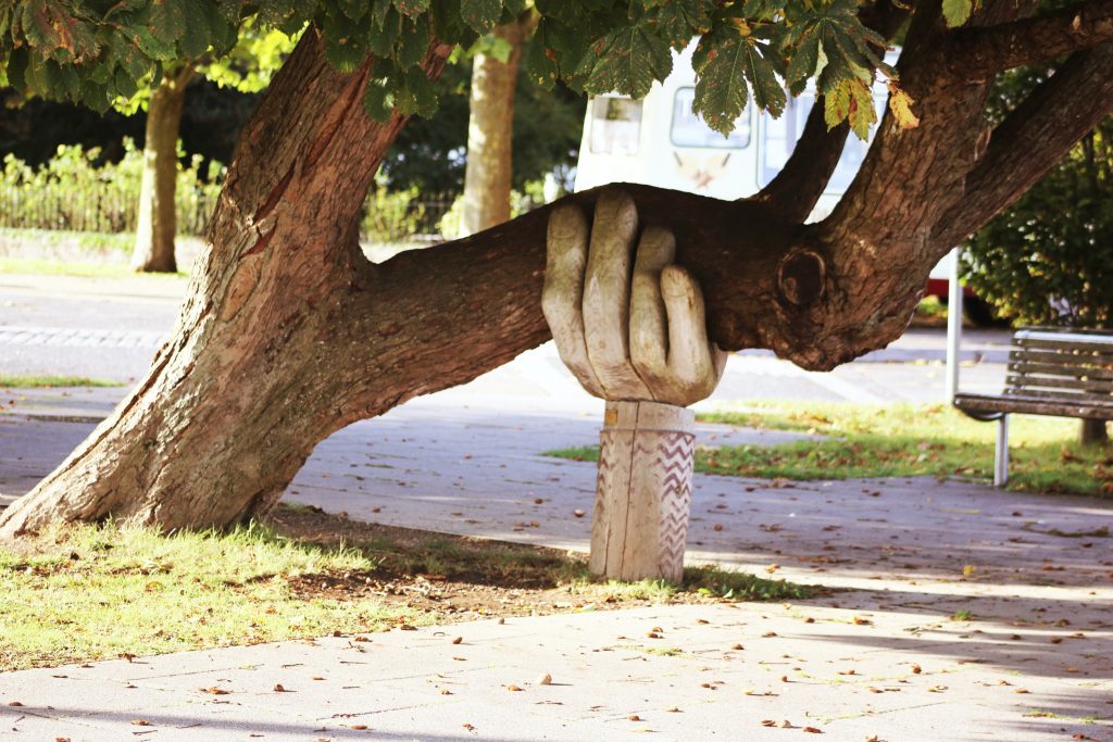 Tree branch supported by carved hand
