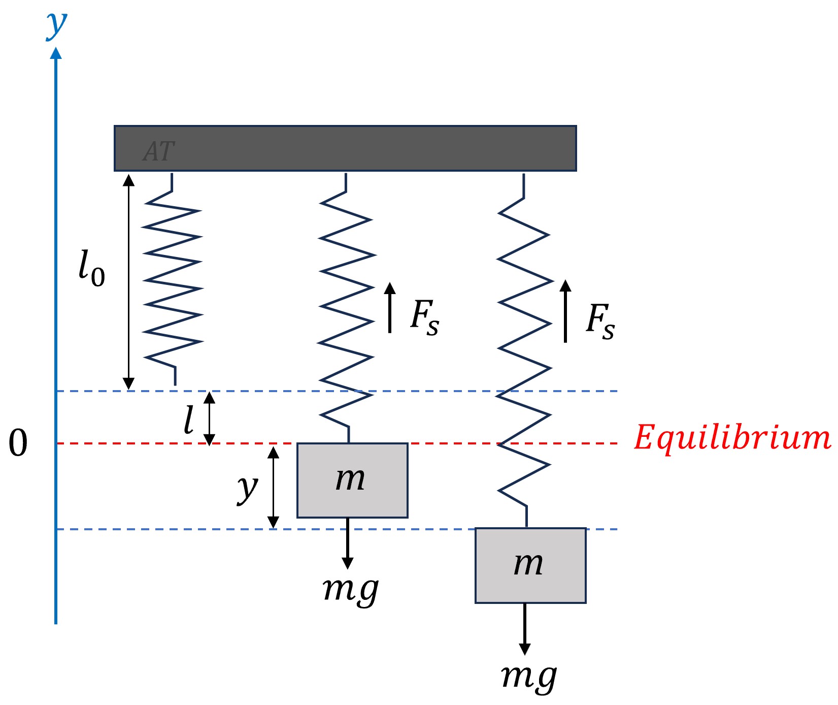 mass-spring system. Spring without mass has a length l0. When mass is attached, it stretches by length l, which is the equilibrium point. The displacement from equilibrium is variable y.