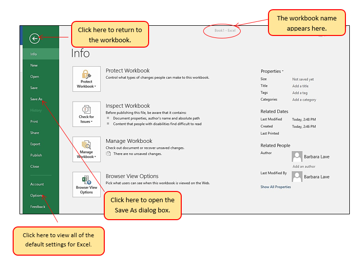 File Tab/Backstage View displays workbook name; Esc Key: return to workbook Save As, Excel default settings. Includes Protect, Inspect, Manage Workbook Info.